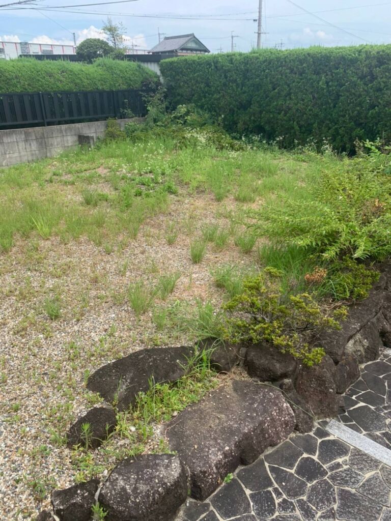 雑草が伸びてしまい手付かずになってしまったお庭