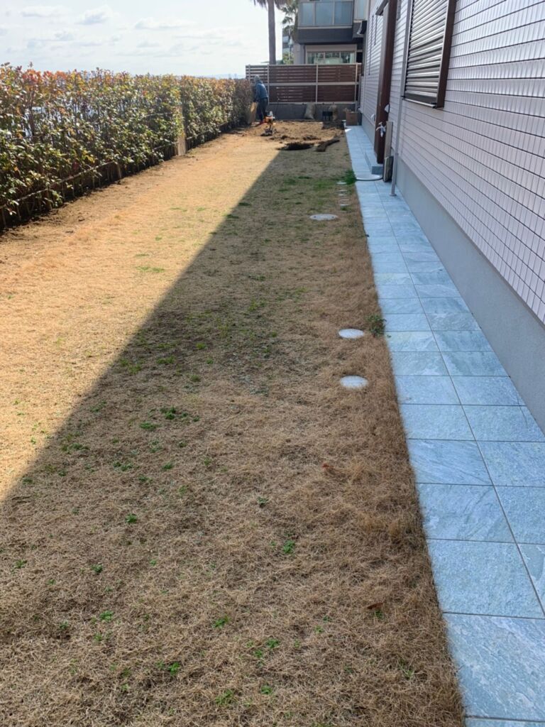 天然芝が敷かれたお庭