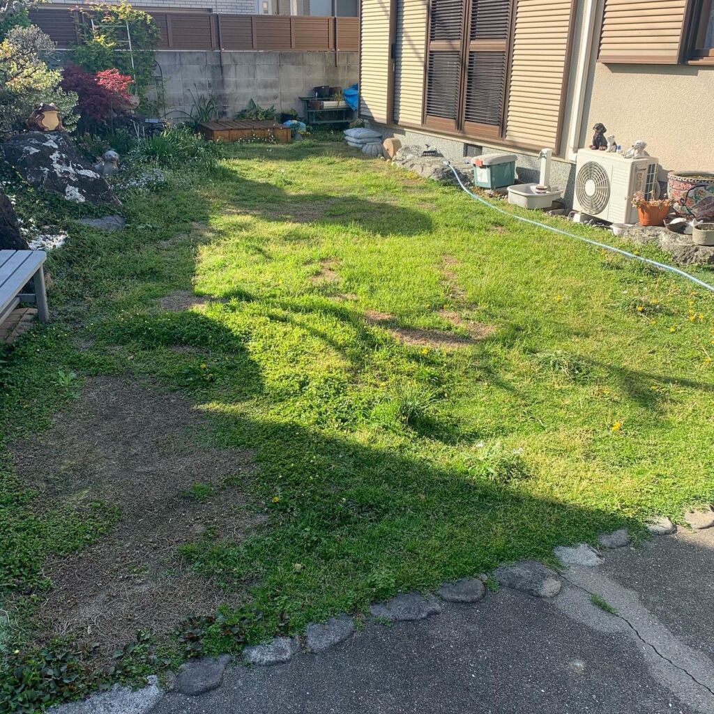 お手入れが困難になった天然芝のお庭