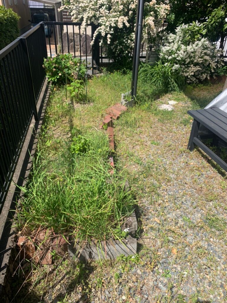 雑草が伸びてしまい手付かずになってしまったお庭