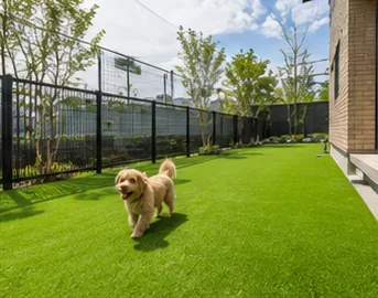 黒いフェンスに囲まれた人工芝の庭で犬が過ごすドッグラン